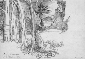 Jean-Claude Fourneau