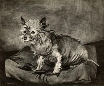 Jean-Claude Fourneau