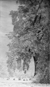 Jean-Claude Fourneau