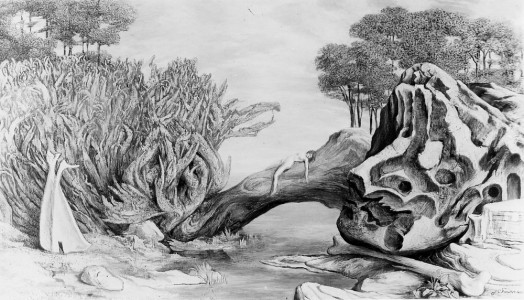 Jean-Claude Fourneau