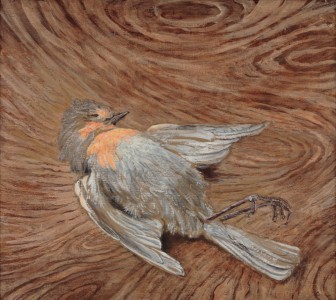 Jean-Claude Fourneau