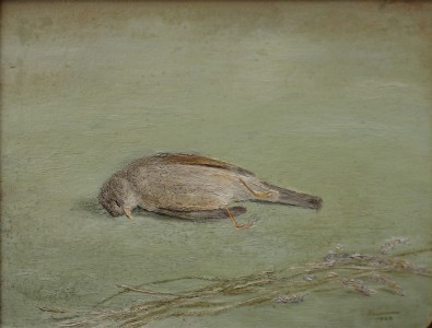 Jean-Claude Fourneau