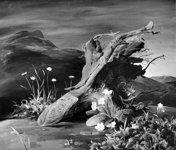 Jean-Claude Fourneau