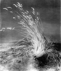 Jean-Claude Fourneau