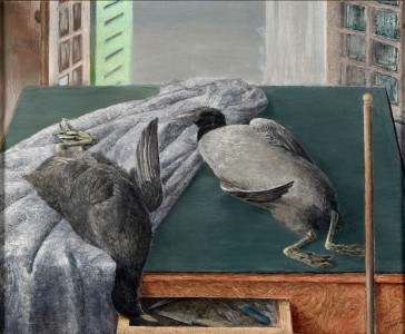 Jean-Claude Fourneau