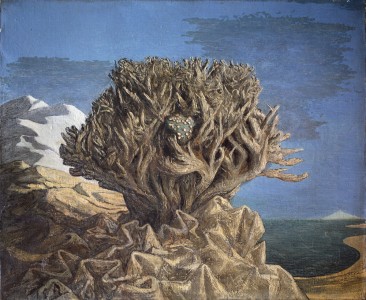 Jean-Claude Fourneau