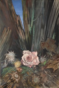 Jean-Claude Fourneau