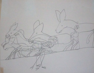 Jean-Claude Fourneau