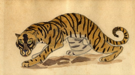 Jean-Claude Fourneau