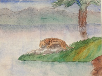 Jean-Claude Fourneau