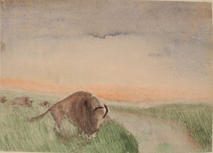 Jean-Claude Fourneau