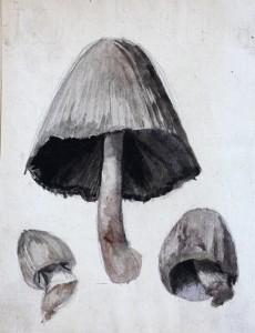 Jean-Claude Fourneau