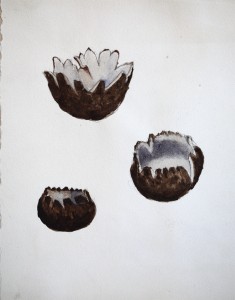 Jean-Claude Fourneau