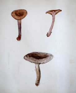 Jean-Claude Fourneau