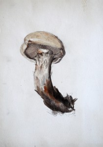 Jean-Claude Fourneau