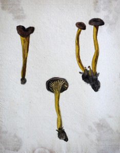 Jean-Claude Fourneau