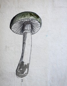 Jean-Claude Fourneau