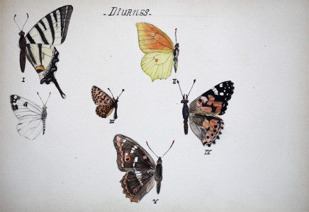 Jean-Claude Fourneau