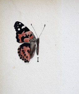 Jean-Claude Fourneau