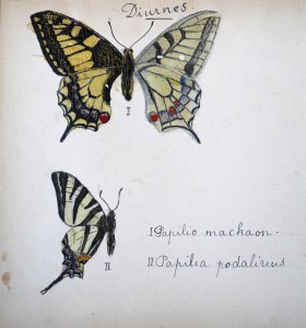 Jean-Claude Fourneau