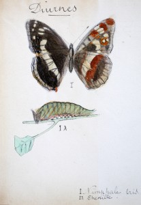 Jean-Claude Fourneau