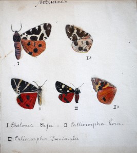 Jean-Claude Fourneau