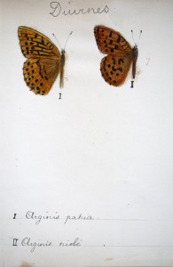 Jean-Claude Fourneau